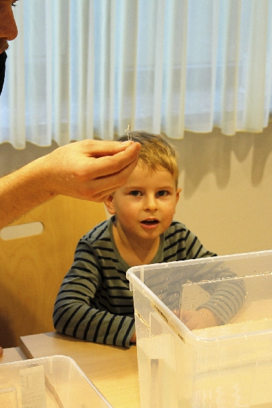Bild 3