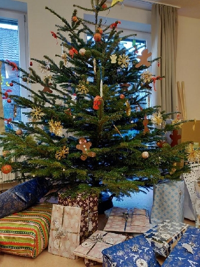 Bild 4